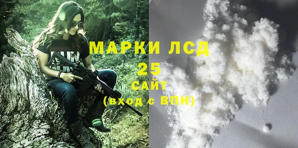 ECSTASY Кукмор