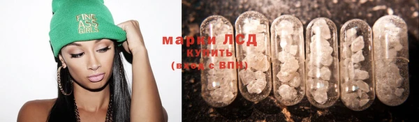 ECSTASY Кукмор