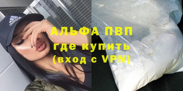 ECSTASY Кукмор