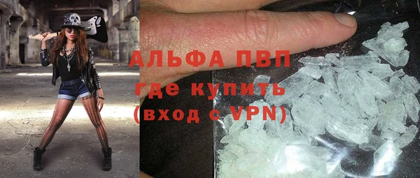 ECSTASY Кукмор