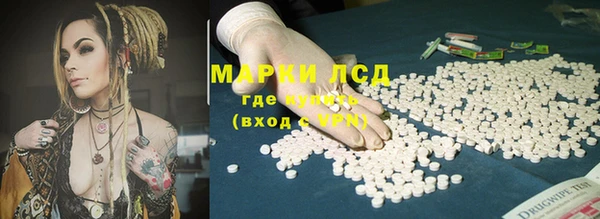 ECSTASY Кукмор